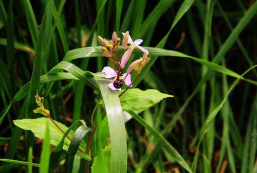 91丨成人丨精产丨天堂鸟